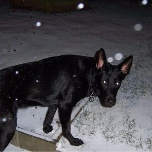 Meet your Posher, Mya